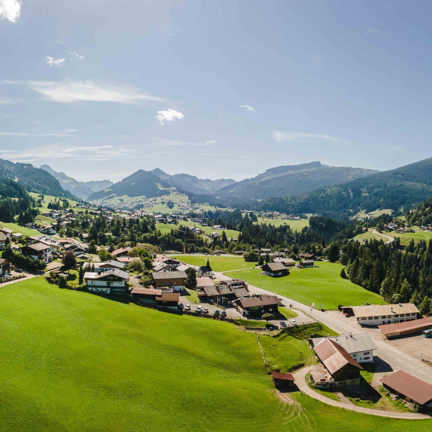 Bergblick mit Gästehaus Almenrausch